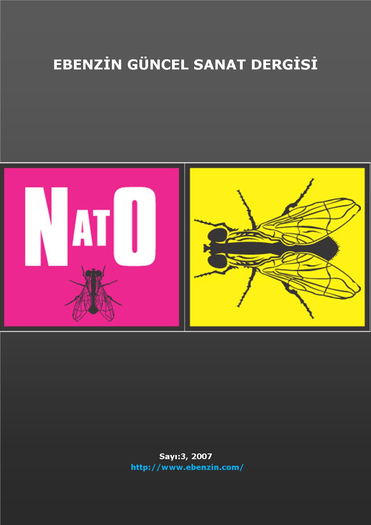 Ebenzin 3 Güncel Sanat Dergisi, Şinasi Güneş, 2006